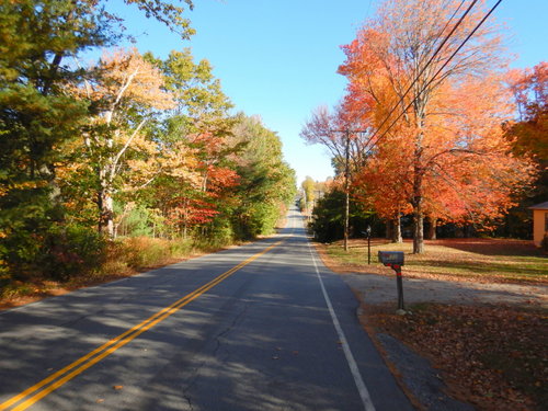 Fall Foliage.