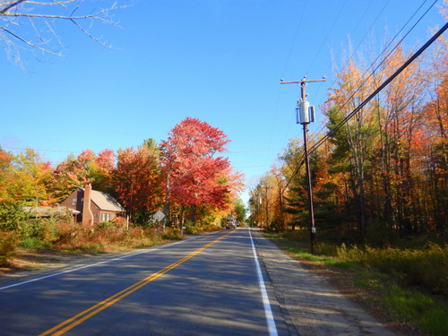 Fall Foliage.