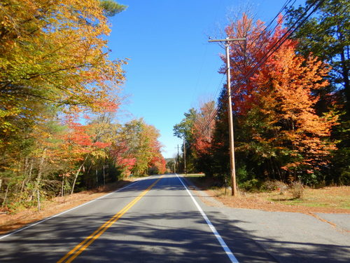 Fall Foliage.