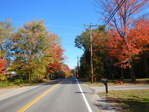 Fall Foliage.