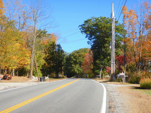 Fall Foliage.