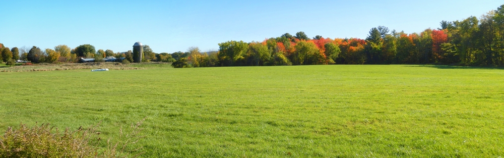 Fall colored pastoral view.