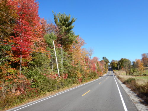 Fall Foliage.