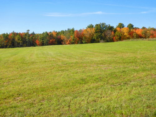 Fall Foliage.