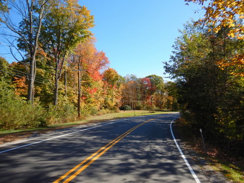 Fall Foliage.