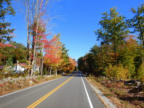 Fall Foliage.