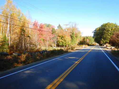 Fall Foliage.