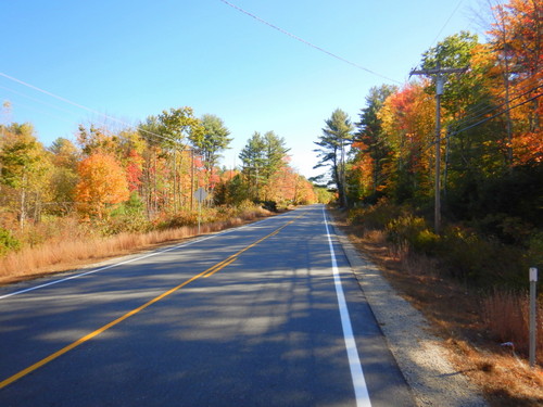 Fall Foliage.