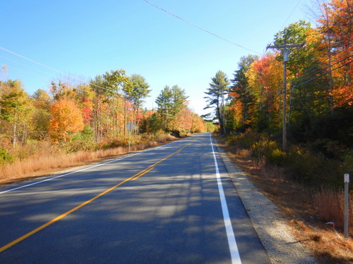 Fall Foliage.