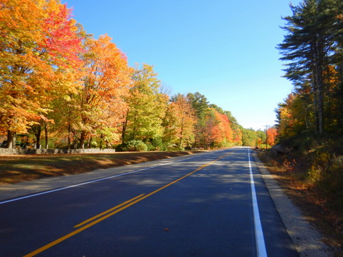 Fall Foliage.