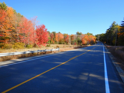 Fall Foliage.