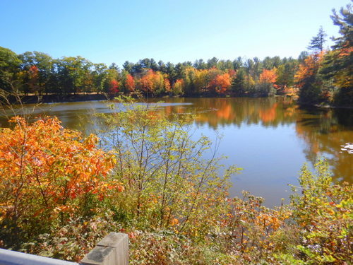 Fall Foliage.