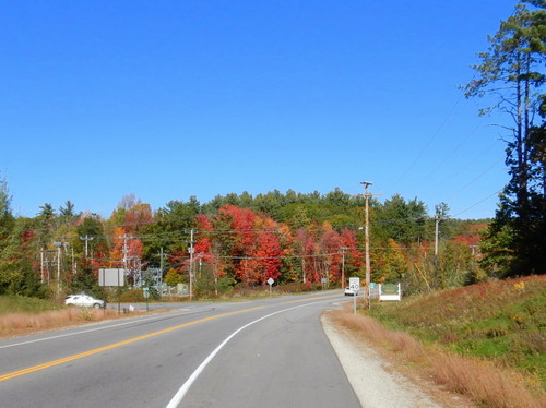 Fall Foliage.