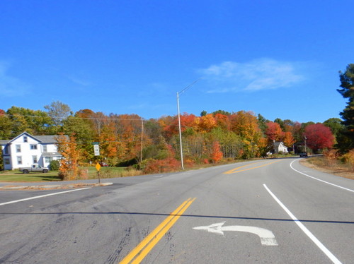 Fall Foliage.