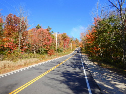 Fall Foliage.