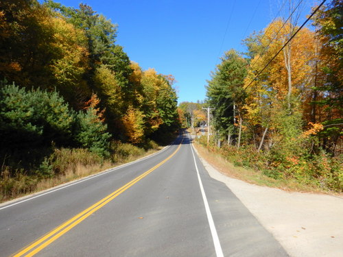 Fall Foliage.