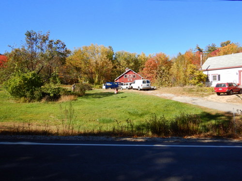 Fall Foliage.