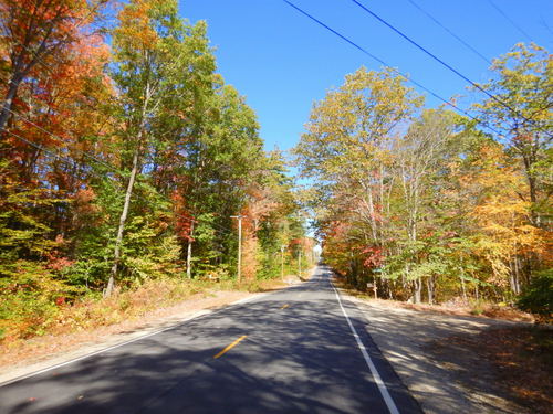 Fall Foliage.