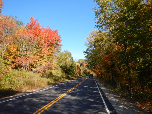 Fall Foliage.