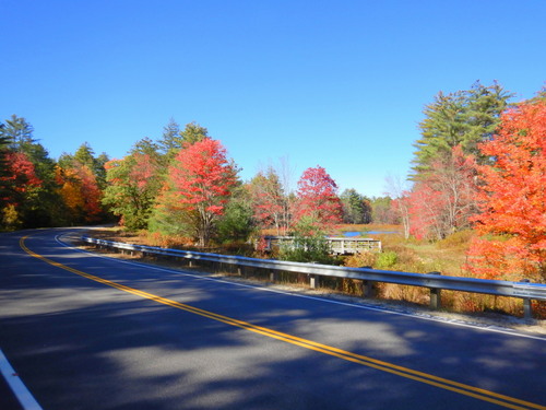 Fall Foliage.