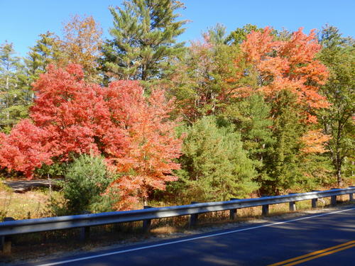 Fall Foliage.