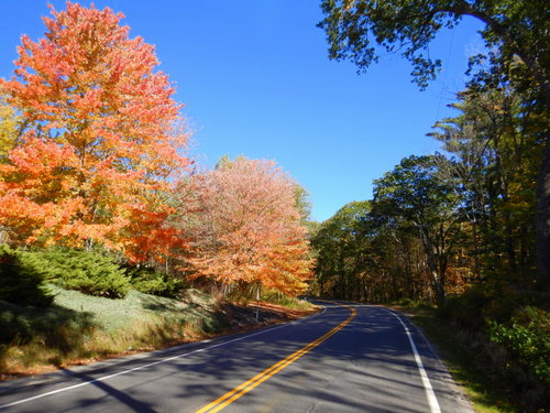 Fall Foliage.