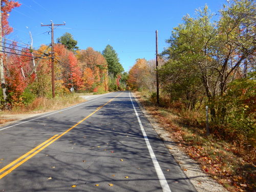 Fall Foliage.