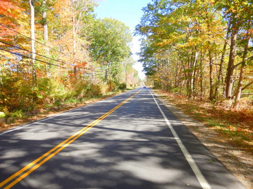 Fall Foliage.