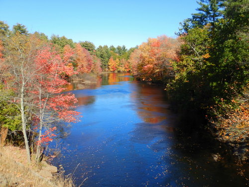 Fall Foliage.