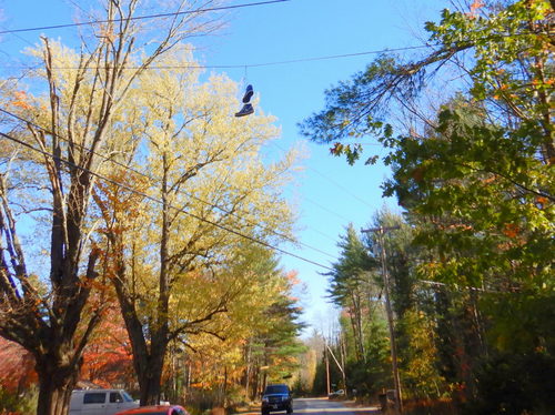 Shoes in the overhead wire.