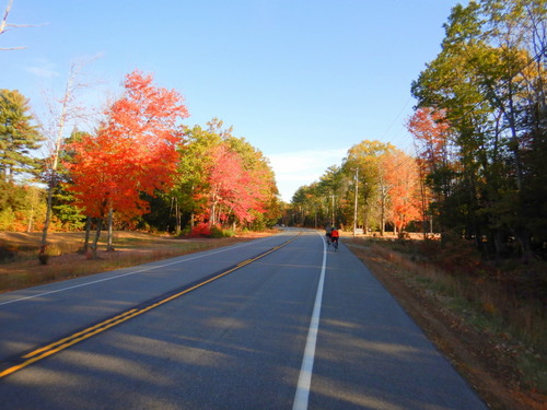 Fall Foliage.