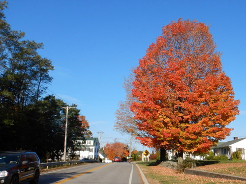 Fall Foliage and another rider ahead.