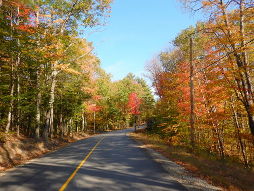 Fall Foliage.