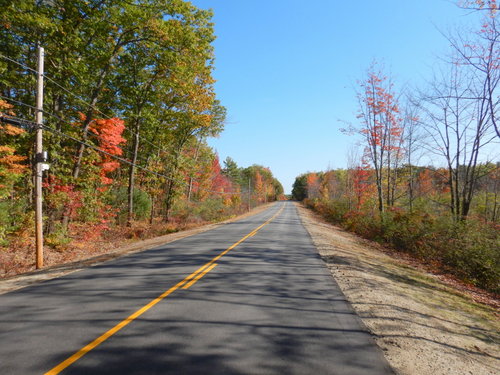 Fall Foliage.