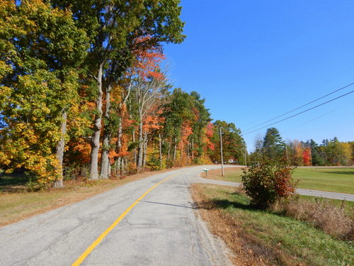 Fall Foliage.