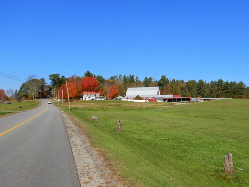 Fall Foliage.