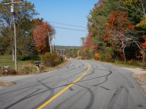 Fall Foliage.