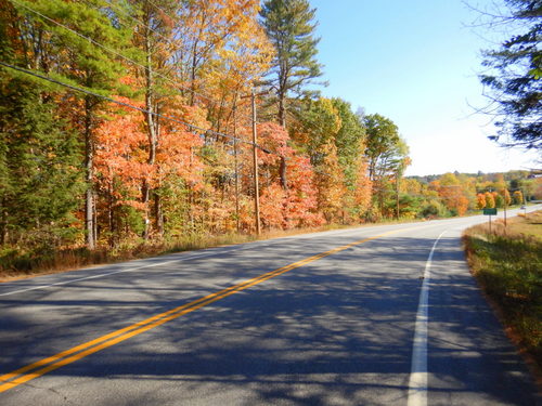 Fall Foliage.