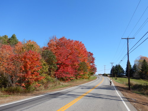 Fall Foliage.