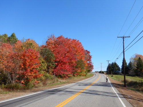 Fall Foliage.