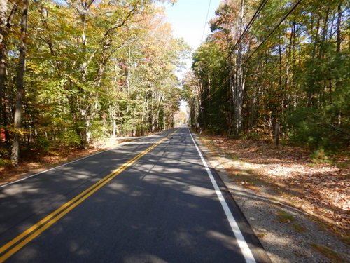 Fall Foliage.