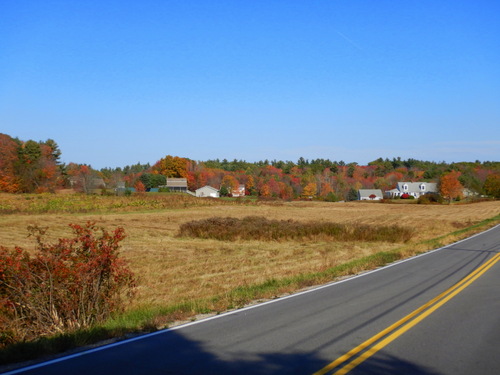 Fall Foliage.