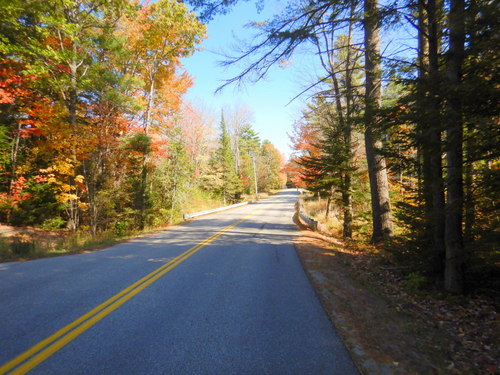 Fall Foliage.