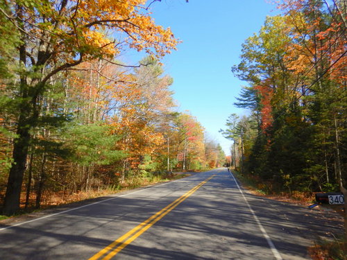 Fall Foliage.