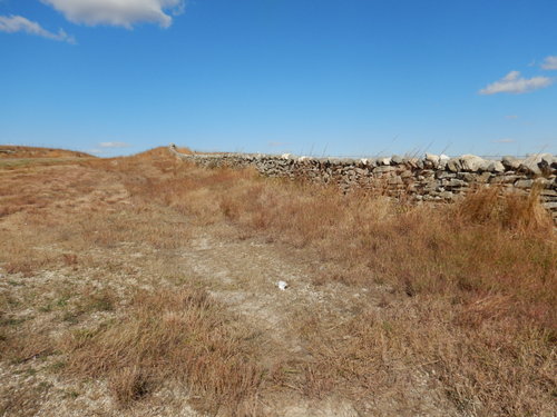 Old unmaintained stone fence.