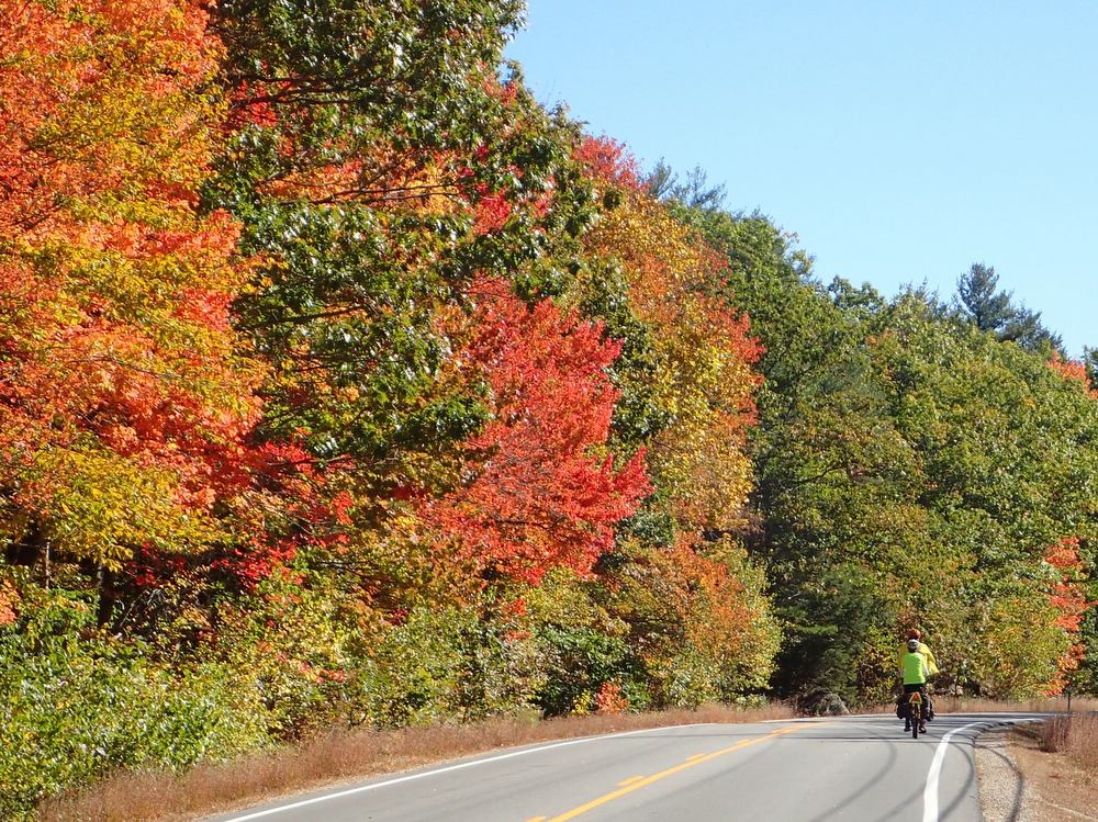 Dennis and Terry Struck - We were really enjoying New England's Fall Foliage; we were located somewhere between Candia and Deerfield, NH, heading for Sanford, Maine.