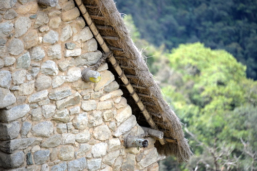 Machu Picchu.