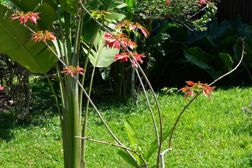 Corto Maltes Amazonia Ecolodge.