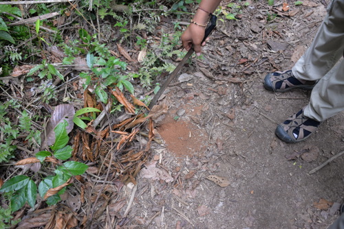 Corto Maltes Amazonia Ecolodge.