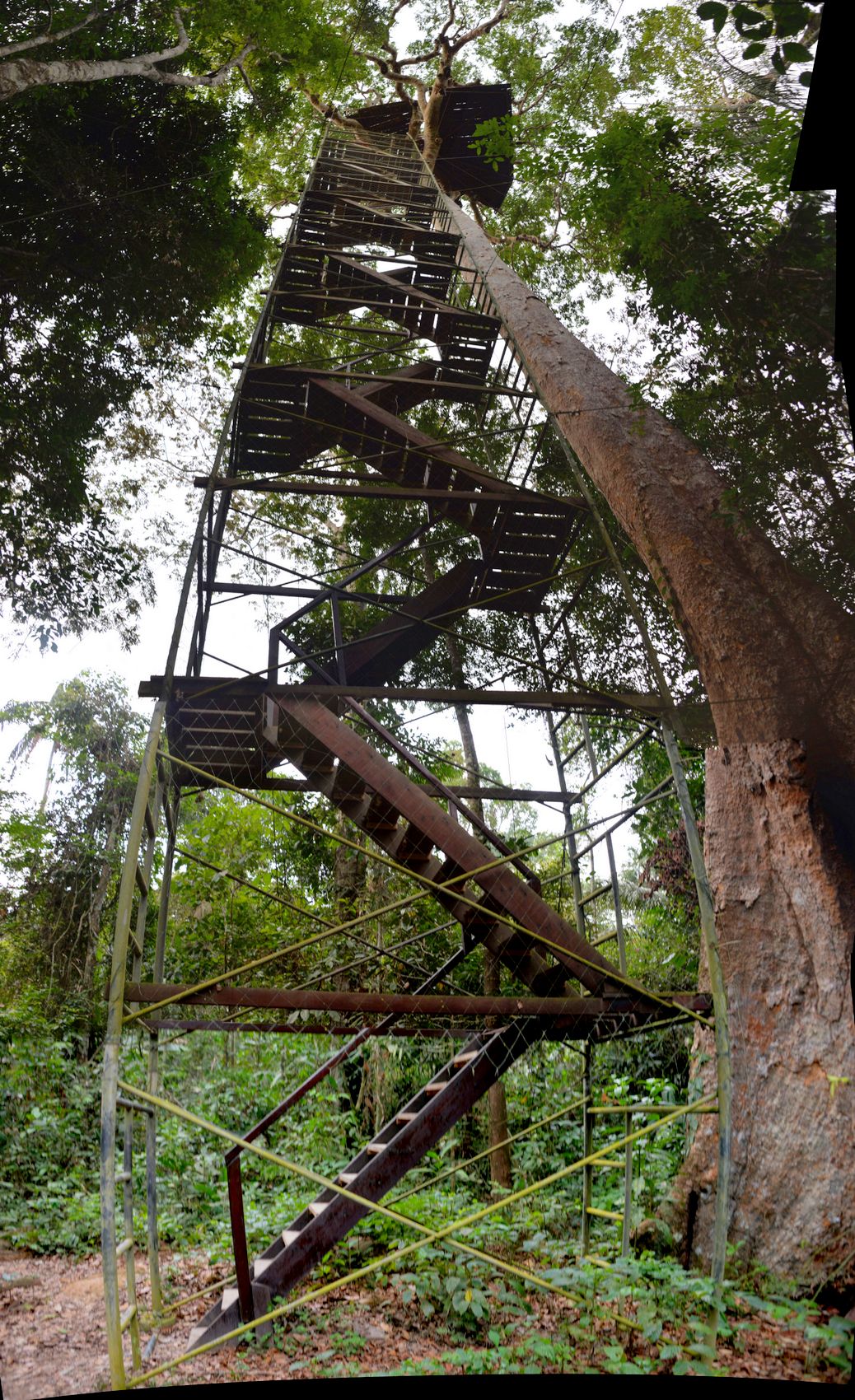 Corto Maltes Amazonia Ecolodge.